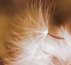Perfektionismus ablegen: Ein einfacher Weg am Beispiel Transformationsprozess Teil 2