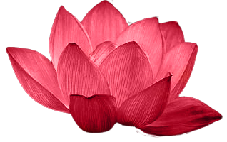 Selbstliebe Coaching