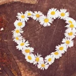 Selbstliebe Coaching: Wann ist es sinnvoll? Und welches Coaching ist für dich passend?
