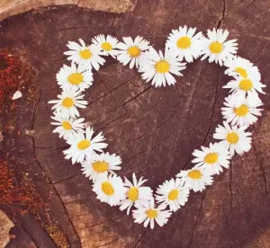 Selbstliebe Coaching: Wann ist es sinnvoll? Und welches Coaching ist für dich passend?