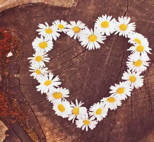 Selbstliebe Coaching: Wann ist es sinnvoll? Und welches Coaching ist für dich passend?