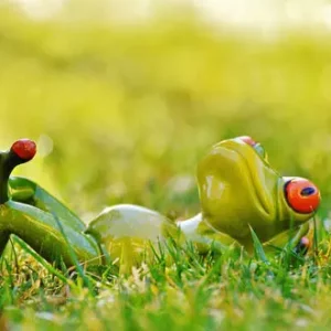 Zeit alleine genießen. Zu sehen ist ein Porzelanfrosch, der im Gras auf dem Rücken liegt.