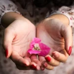 „Ich will doch einfach nur geliebt werden“– Wie die Sehnsucht nach Liebe durch die Liebe selbst gestillt wird. Zu sehen sind zwei offene Hände mit einer Blüte.