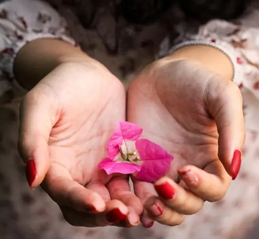 „Ich will doch einfach nur geliebt werden“– Wie die Sehnsucht nach Liebe durch die Liebe selbst gestillt wird. Zu sehen sind zwei offene Hände mit einer Blüte.