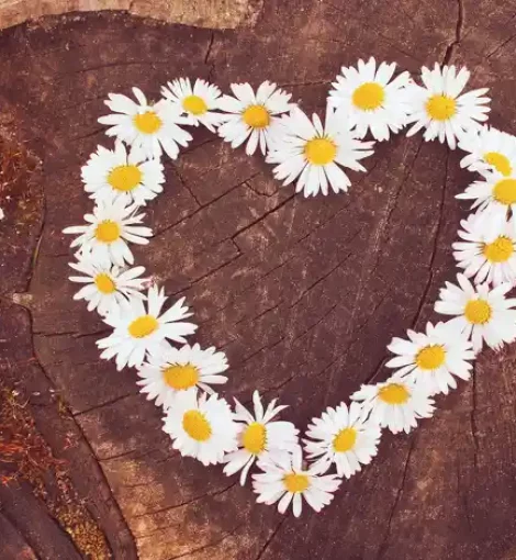 Selbstliebe Coaching: Wann ist es sinnvoll? Und welches Coaching ist für dich passend?