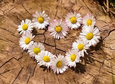Unterschiedliche Coachingangebote zu Selbstliebe