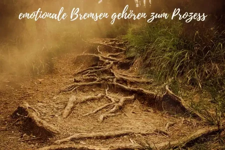 emotionale Bremsen gehören zum Prozess