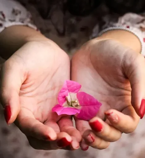 „Ich will doch einfach nur geliebt werden“– Wie die Sehnsucht nach Liebe durch die Liebe selbst gestillt wird. Zu sehen sind zwei offene Hände mit einer Blüte.